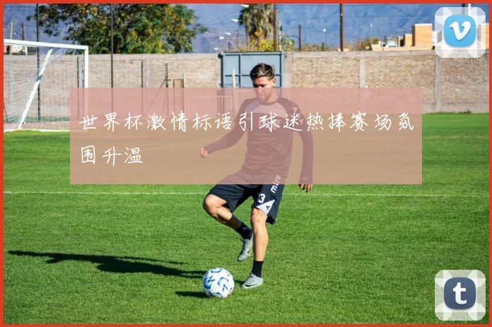 世界杯激情标语引球迷热捧赛场氛围升温