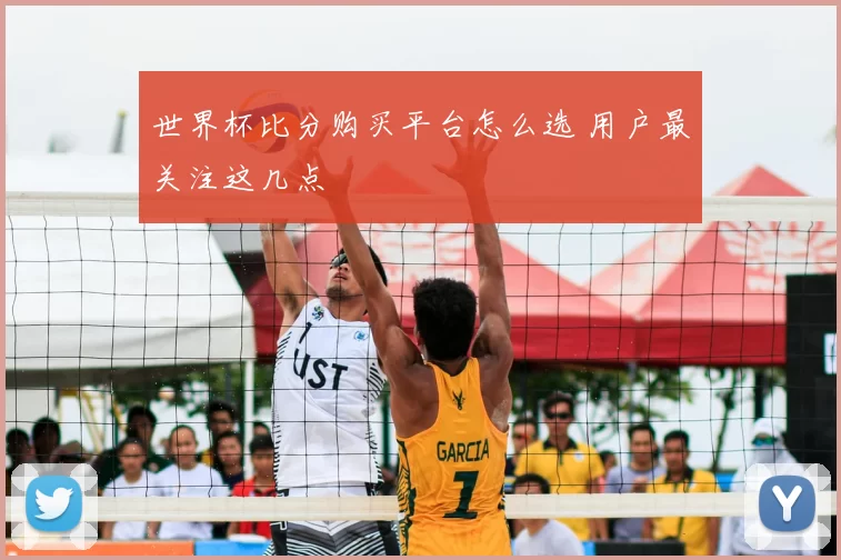 世界杯比分购买平台怎么选 用户最关注这几点