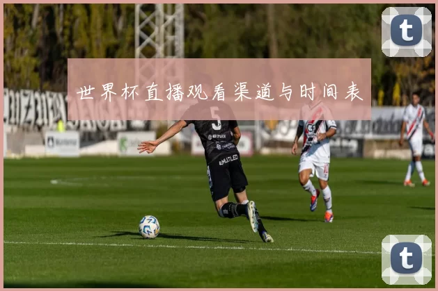 世界杯直播观看渠道与时间表
