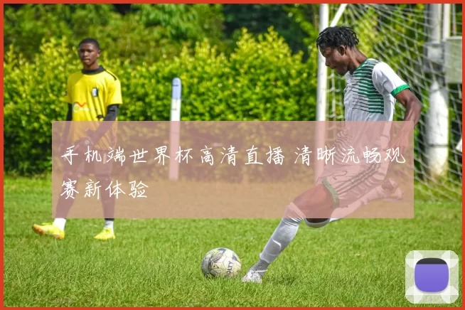 手机端世界杯高清直播 清晰流畅观赛新体验