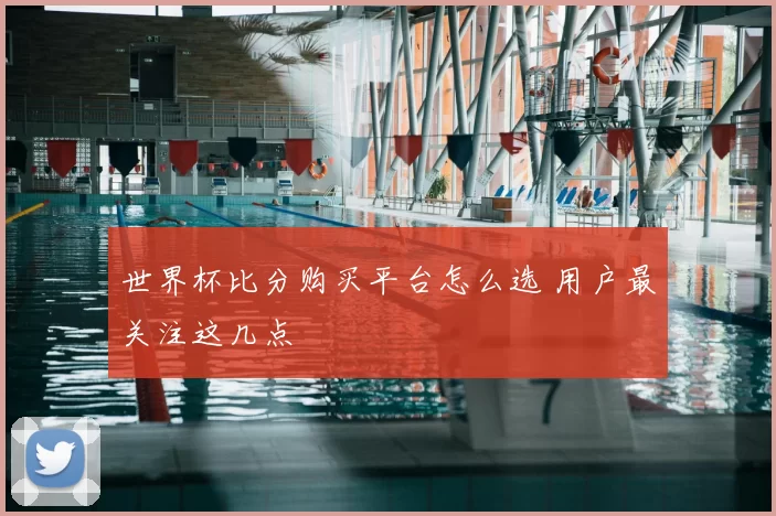 世界杯比分购买平台怎么选 用户最关注这几点