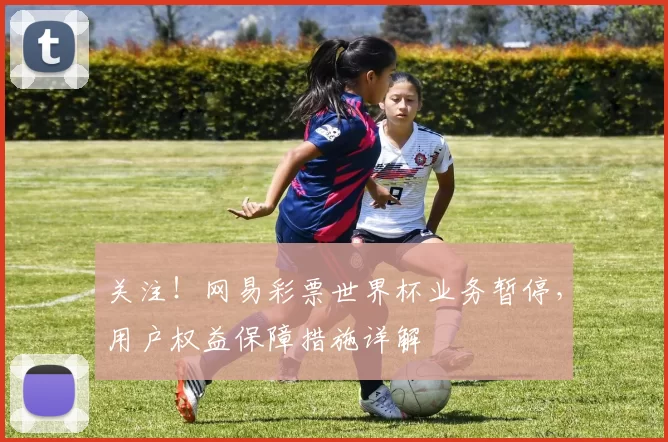关注!网易彩票世界杯业务暂停,用户权益保障措施详解