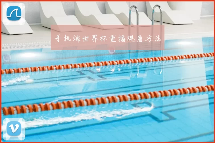 手机端世界杯重播观看方法