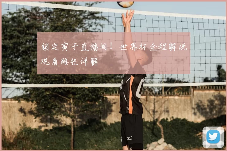 锁定寅子直播间!世界杯全程解说观看路径详解