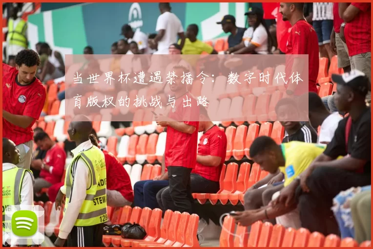 当世界杯遭遇禁播令：数字时代体育版权的挑战与出路
