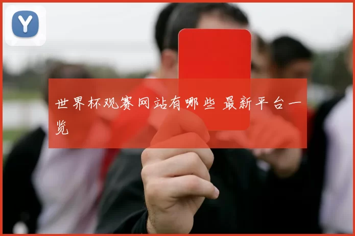 世界杯观赛网站有哪些 最新平台一览